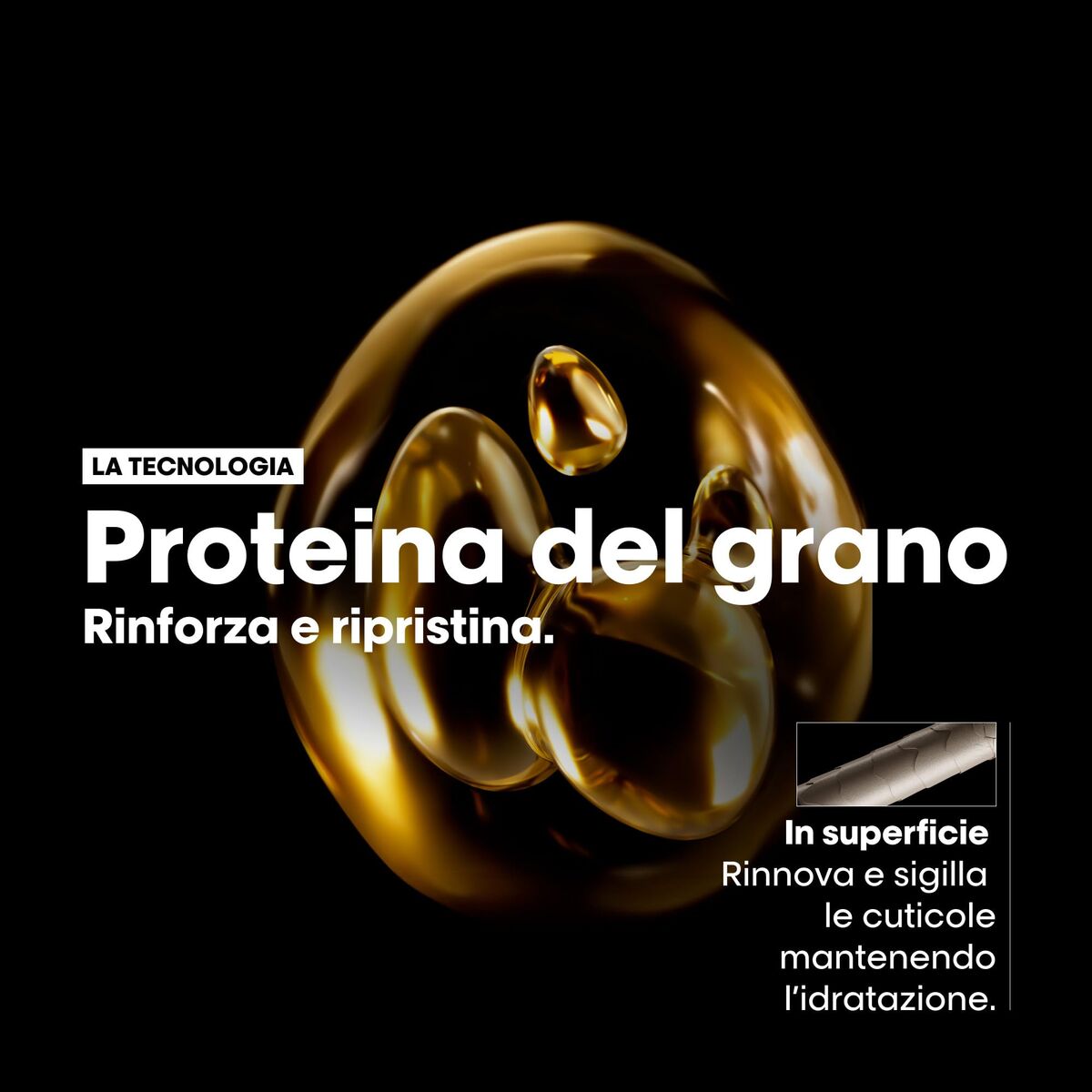 Hair Dressing Set L'Oréal Professionnel Paris Absolut Repair – Shampoo 300ml + Mask 250ml (2 Pieces)